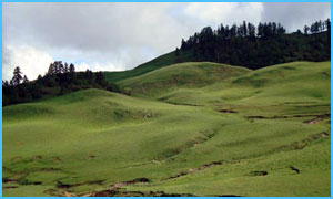 Dayara-Bugyal-Trekking